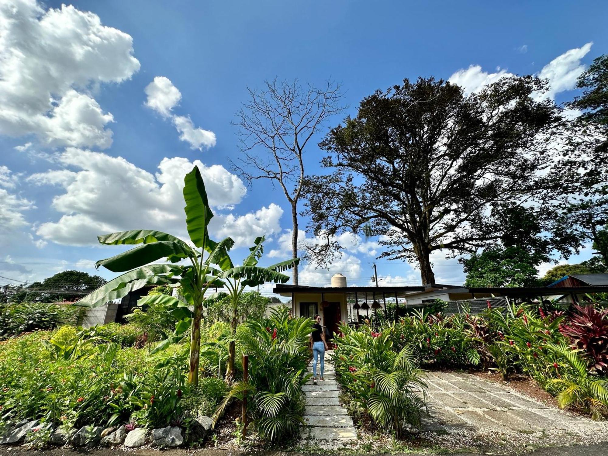 Almendros Eco-Villas La Fortuna Екстер'єр фото