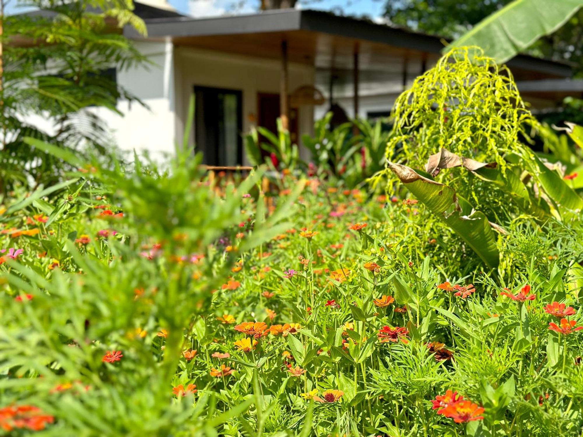 Almendros Eco-Villas La Fortuna Екстер'єр фото