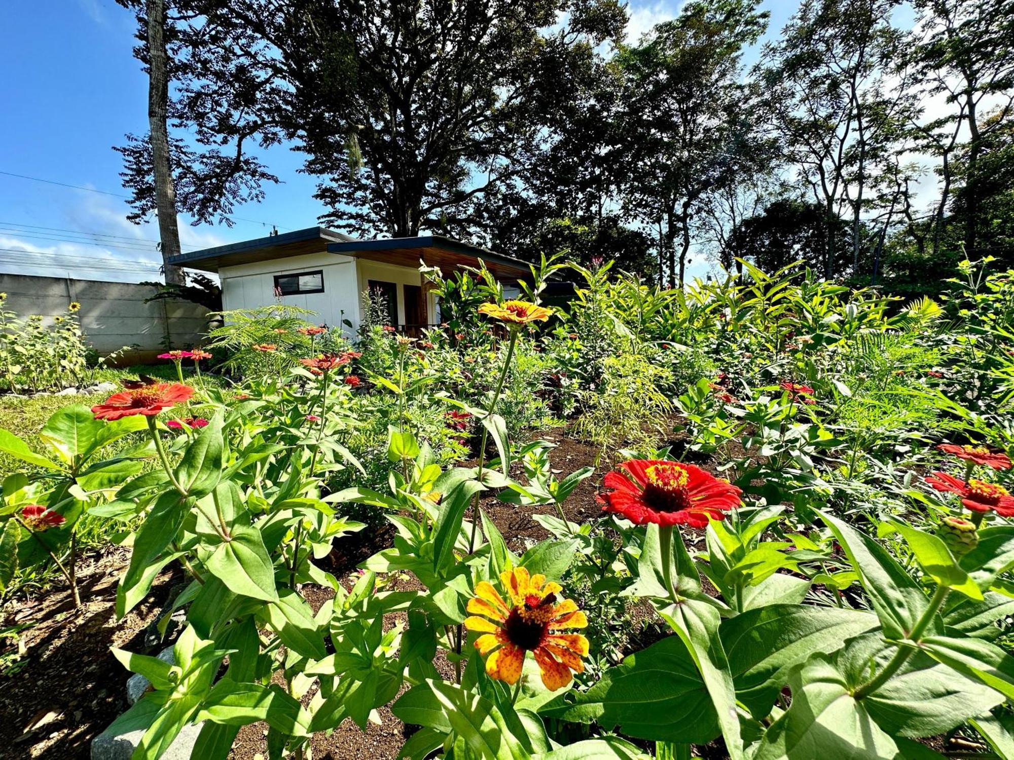 Almendros Eco-Villas La Fortuna Екстер'єр фото